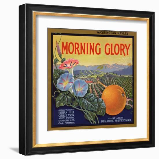 Morning Glory Brand - Pomona, California - Citrus Crate Label-Lantern Press-Framed Art Print