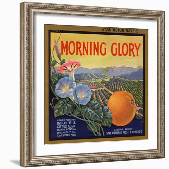 Morning Glory Brand - Pomona, California - Citrus Crate Label-Lantern Press-Framed Art Print