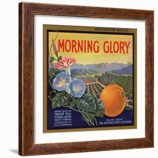 Morning Glory Brand - Pomona, California - Citrus Crate Label-Lantern Press-Framed Art Print