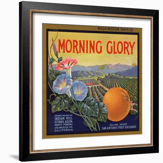 Morning Glory Brand - Pomona, California - Citrus Crate Label-Lantern Press-Framed Art Print