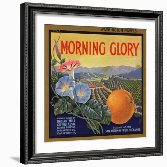 Morning Glory Brand - Pomona, California - Citrus Crate Label-Lantern Press-Framed Art Print