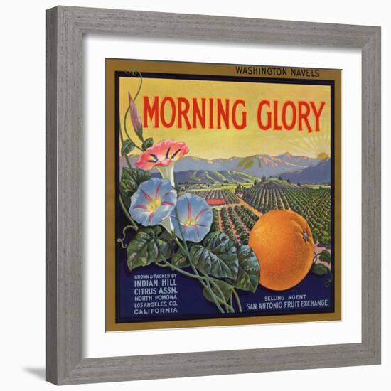 Morning Glory Brand - Pomona, California - Citrus Crate Label-Lantern Press-Framed Premium Giclee Print