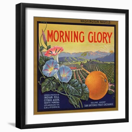 Morning Glory Brand - Pomona, California - Citrus Crate Label-Lantern Press-Framed Premium Giclee Print