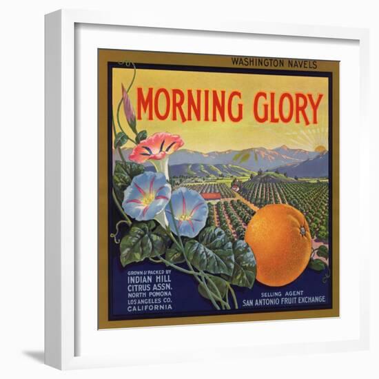 Morning Glory Brand - Pomona, California - Citrus Crate Label-Lantern Press-Framed Premium Giclee Print