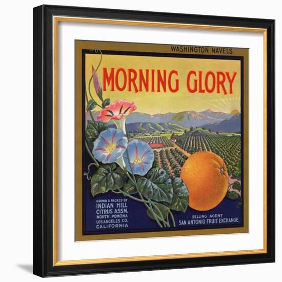 Morning Glory Brand - Pomona, California - Citrus Crate Label-Lantern Press-Framed Premium Giclee Print