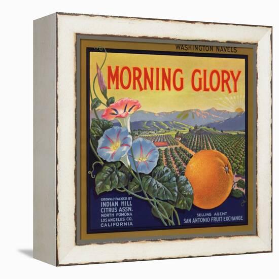 Morning Glory Brand - Pomona, California - Citrus Crate Label-Lantern Press-Framed Stretched Canvas