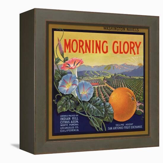 Morning Glory Brand - Pomona, California - Citrus Crate Label-Lantern Press-Framed Stretched Canvas