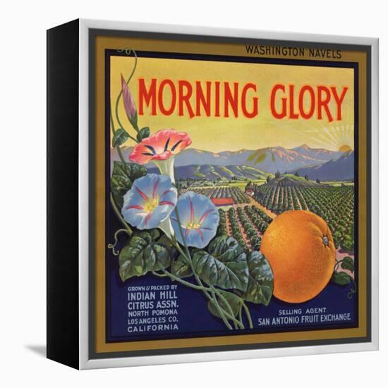 Morning Glory Brand - Pomona, California - Citrus Crate Label-Lantern Press-Framed Stretched Canvas