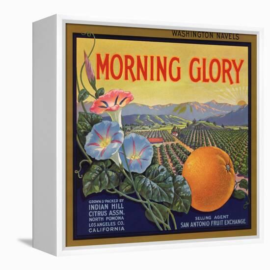 Morning Glory Brand - Pomona, California - Citrus Crate Label-Lantern Press-Framed Stretched Canvas