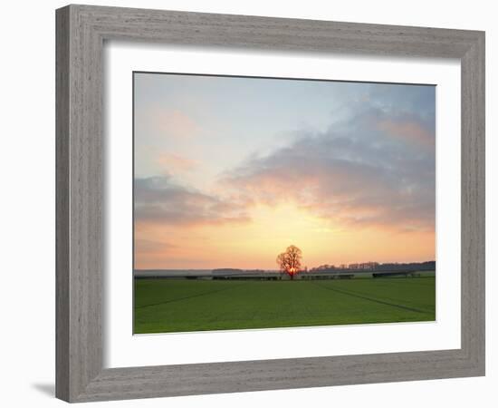 Morning Glory II-Doug Chinnery-Framed Photographic Print