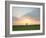 Morning Glory II-Doug Chinnery-Framed Photographic Print