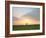 Morning Glory II-Doug Chinnery-Framed Photographic Print