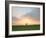 Morning Glory II-Doug Chinnery-Framed Photographic Print