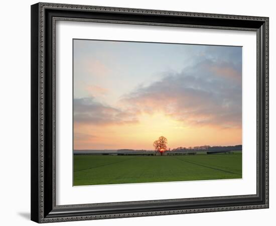 Morning Glory II-Doug Chinnery-Framed Photographic Print