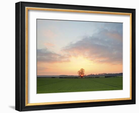 Morning Glory II-Doug Chinnery-Framed Photographic Print