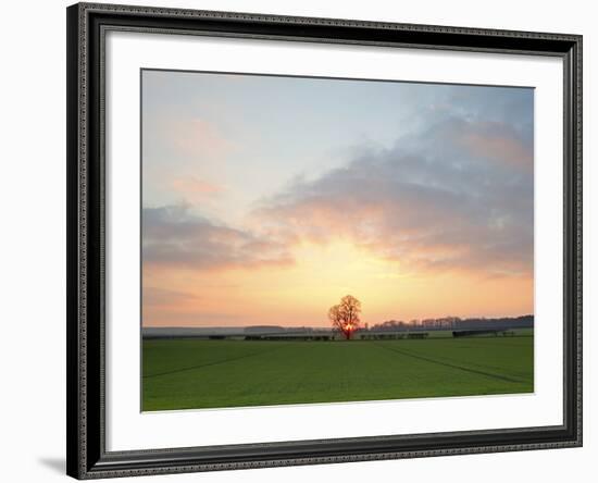 Morning Glory II-Doug Chinnery-Framed Photographic Print