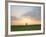 Morning Glory II-Doug Chinnery-Framed Photographic Print