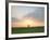 Morning Glory II-Doug Chinnery-Framed Photographic Print