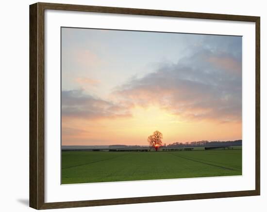 Morning Glory II-Doug Chinnery-Framed Photographic Print