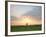 Morning Glory II-Doug Chinnery-Framed Photographic Print