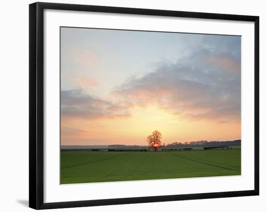 Morning Glory II-Doug Chinnery-Framed Photographic Print