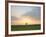 Morning Glory II-Doug Chinnery-Framed Photographic Print