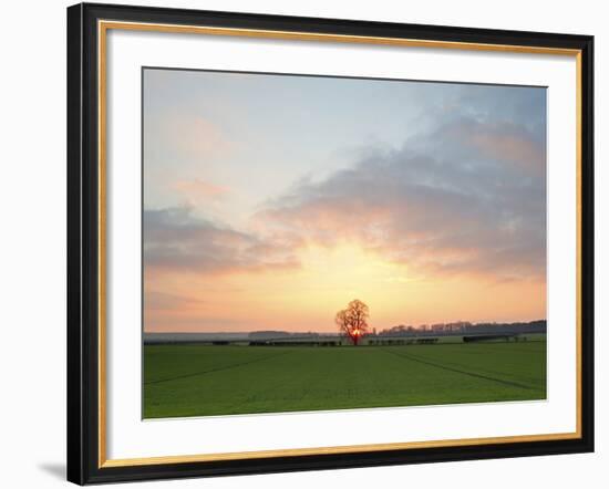 Morning Glory II-Doug Chinnery-Framed Photographic Print