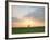 Morning Glory II-Doug Chinnery-Framed Photographic Print