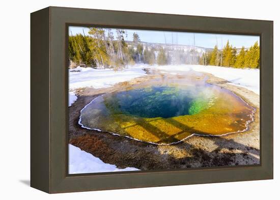 Morning Glory in Snow. Yellowstone National Park, Wyoming.-Tom Norring-Framed Premier Image Canvas