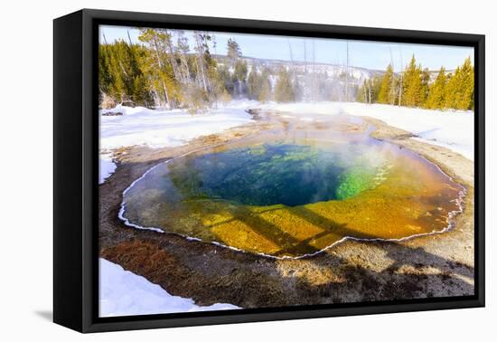 Morning Glory in Snow. Yellowstone National Park, Wyoming.-Tom Norring-Framed Premier Image Canvas