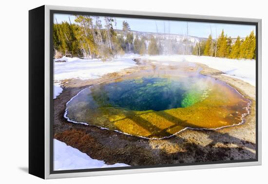 Morning Glory in Snow. Yellowstone National Park, Wyoming.-Tom Norring-Framed Premier Image Canvas