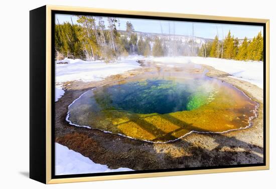 Morning Glory in Snow. Yellowstone National Park, Wyoming.-Tom Norring-Framed Premier Image Canvas