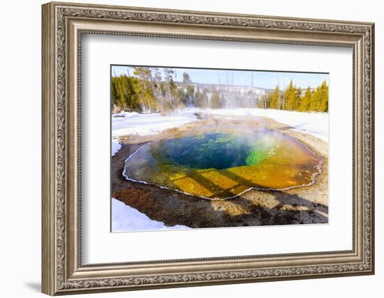 Morning Glory in Snow. Yellowstone National Park, Wyoming.-Tom Norring-Framed Photographic Print