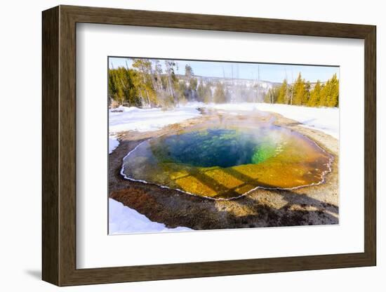 Morning Glory in Snow. Yellowstone National Park, Wyoming.-Tom Norring-Framed Photographic Print