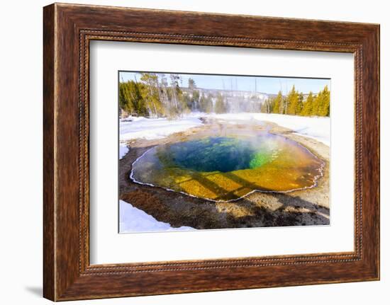 Morning Glory in Snow. Yellowstone National Park, Wyoming.-Tom Norring-Framed Photographic Print