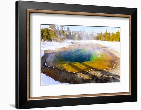 Morning Glory in Snow. Yellowstone National Park, Wyoming.-Tom Norring-Framed Photographic Print