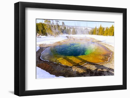 Morning Glory in Snow. Yellowstone National Park, Wyoming.-Tom Norring-Framed Photographic Print