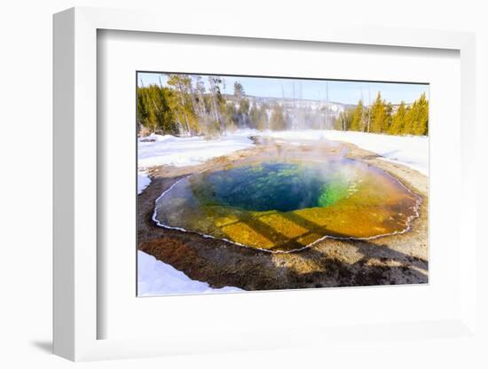 Morning Glory in Snow. Yellowstone National Park, Wyoming.-Tom Norring-Framed Photographic Print