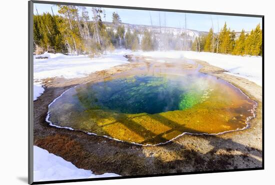 Morning Glory in Snow. Yellowstone National Park, Wyoming.-Tom Norring-Mounted Photographic Print