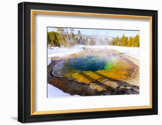 Morning Glory in Snow. Yellowstone National Park, Wyoming.-Tom Norring-Framed Photographic Print