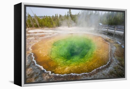 Morning Glory Pool in Upper Geyser Basin, Yellowstone National Park, Wyoming, U.S.A.-Michael DeFreitas-Framed Premier Image Canvas