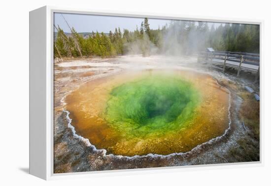 Morning Glory Pool in Upper Geyser Basin, Yellowstone National Park, Wyoming, U.S.A.-Michael DeFreitas-Framed Premier Image Canvas