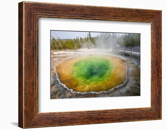 Morning Glory Pool in Upper Geyser Basin, Yellowstone National Park, Wyoming, U.S.A.-Michael DeFreitas-Framed Photographic Print