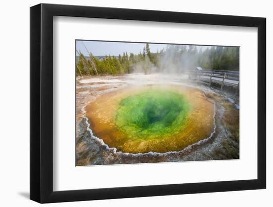 Morning Glory Pool in Upper Geyser Basin, Yellowstone National Park, Wyoming, U.S.A.-Michael DeFreitas-Framed Photographic Print