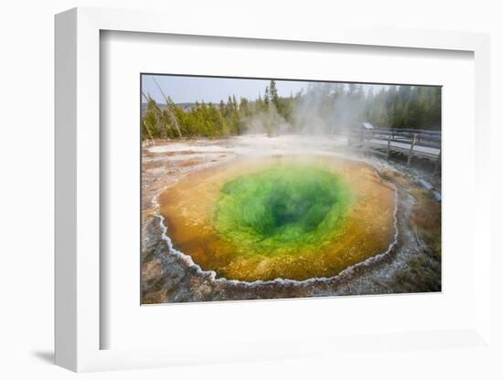 Morning Glory Pool in Upper Geyser Basin, Yellowstone National Park, Wyoming, U.S.A.-Michael DeFreitas-Framed Photographic Print