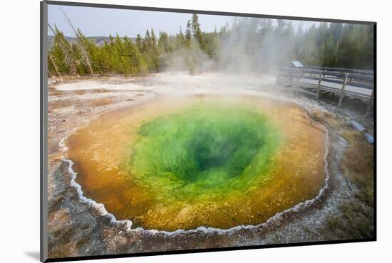 Morning Glory Pool in Upper Geyser Basin, Yellowstone National Park, Wyoming, U.S.A.-Michael DeFreitas-Mounted Photographic Print