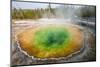 Morning Glory Pool in Upper Geyser Basin, Yellowstone National Park, Wyoming, U.S.A.-Michael DeFreitas-Mounted Photographic Print