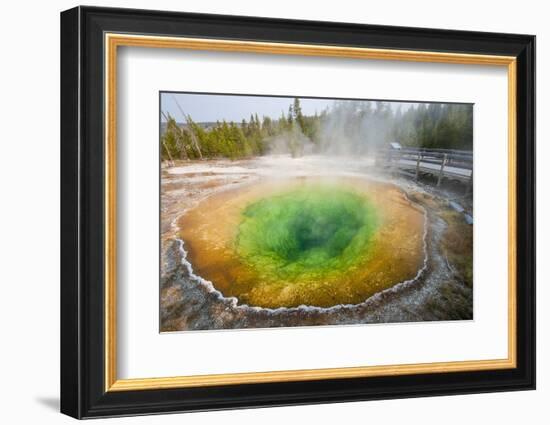 Morning Glory Pool in Upper Geyser Basin, Yellowstone National Park, Wyoming, U.S.A.-Michael DeFreitas-Framed Photographic Print