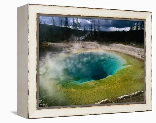 Morning Glory Pool, Yellowstone National Park, Wyoming, USA-Carol Polich-Framed Premier Image Canvas