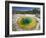 Morning Glory Pool, Yellowstone National Park, Wyoming, USA-Michele Falzone-Framed Photographic Print